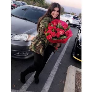 Meet your Posher, Priscilla